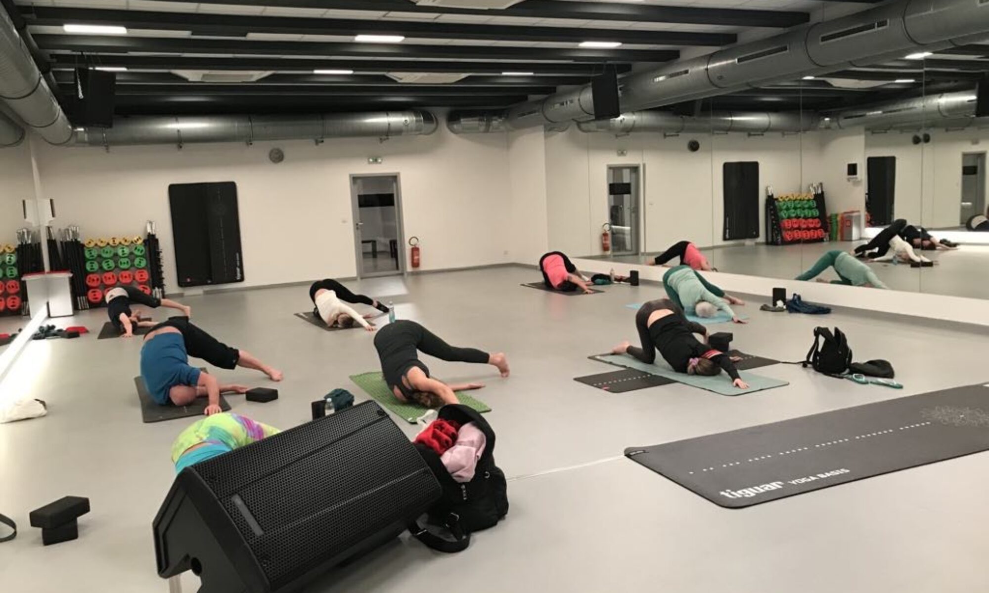 power joga1 power joga1